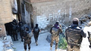 resized_22ab7-a932f2152