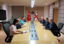 Türkiye heyeti, Gürcistan’da uçak kazasının meydana geldiği bölgede inceleme yaptı